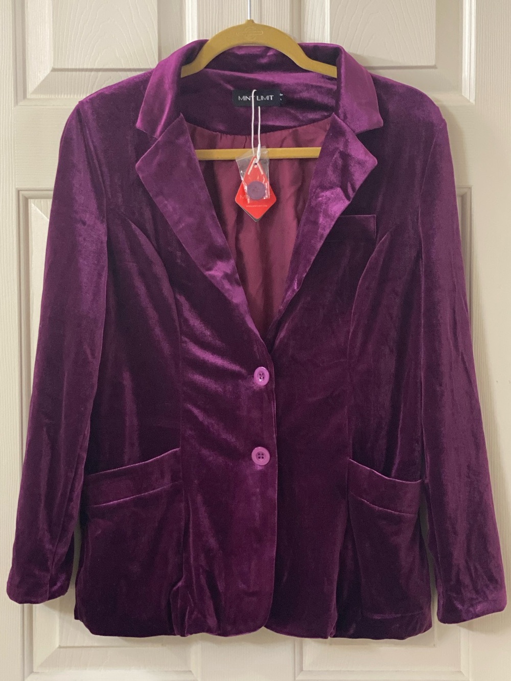 MINT LIMIT Velvet Blazer Jacket - 2 Button Closure Size Small NWT